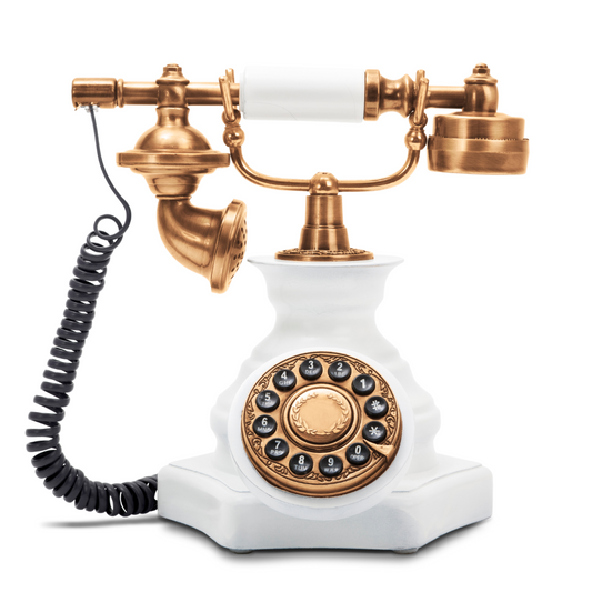 Book 1:1 Holistic Life Coaching Telephonic Session