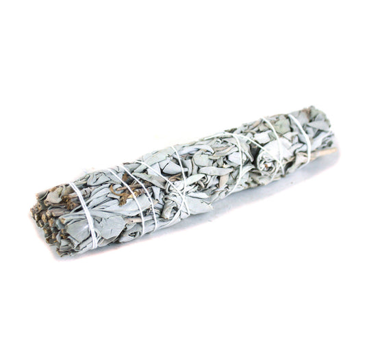 White Sage Smudge Stick (Large 7-9")
